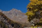 20051027_113419 Pizzi Piani.jpg